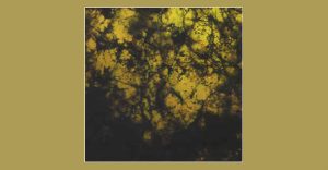 Jason Bivins and Ian Davis - Benthic