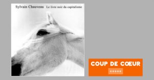 Sylvain Chauveau - Le livre noir du capitalisme