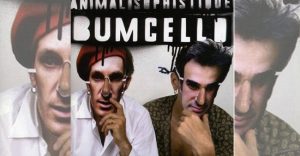 Bumcello - Animal sophistiqué