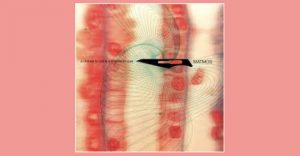 Matmos - A chance to cut is a chance to cure