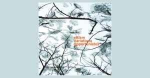 eRikm - Variations Opportunistes