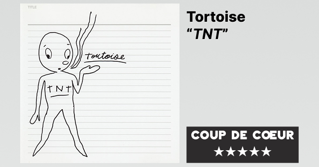 Tortoise “TNT”